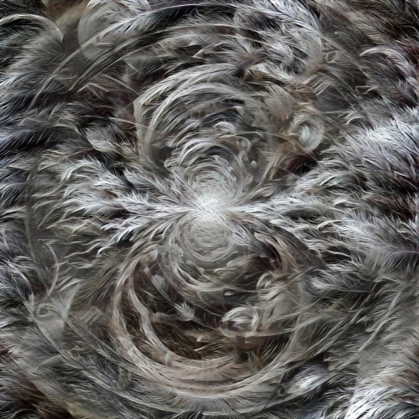 Abstract Pattern by Bruce Rolff